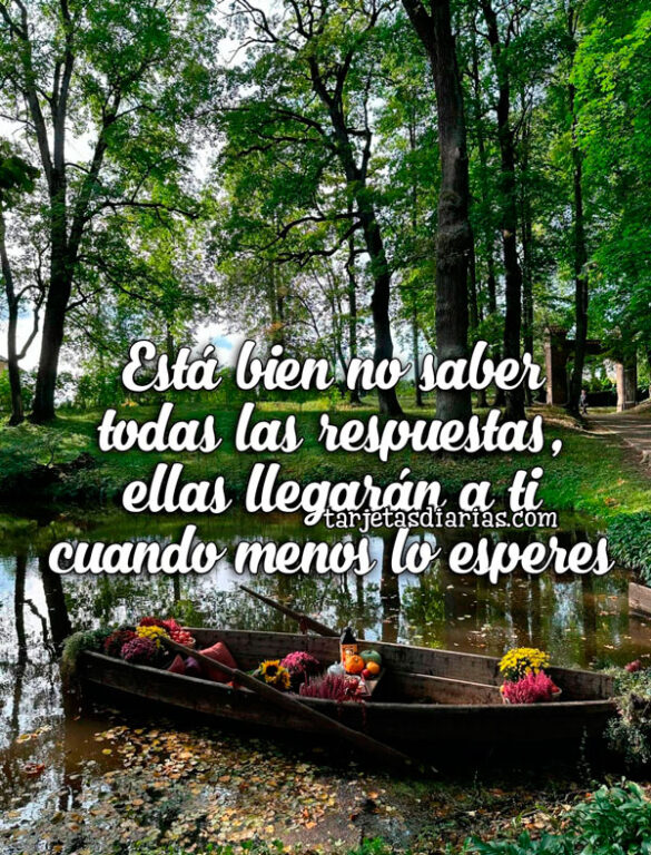 ESTÁ BIEN NO SABER TODAS LAS RESPUESTAS, ELLAS LLEGARÁN A TI CUANDO MENOS LO ESPERES