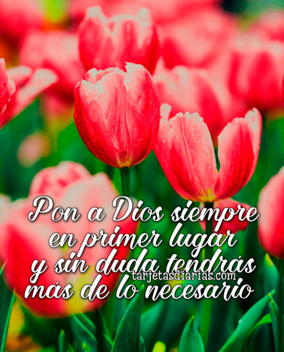 PON A DIOS SIEMPRE EN PRIMER LUGAR Y SIN DUDA TENDRÁS MAS DE LO NECESARIO