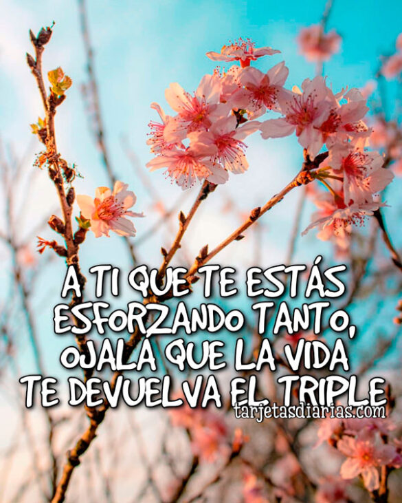 A TI QUE TE ESTÁS ESFORZANDO TANTO, OJALÁ QUE LA VIDA TE DEVUELVA EL TRIPLE