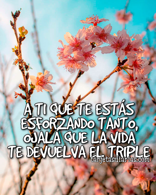 A TI QUE TE ESTÁS ESFORZANDO TANTO, OJALÁ QUE LA VIDA TE DEVUELVA EL ...