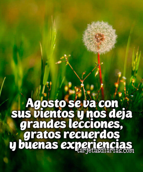 AGOSTO SE VA CON SUS VIENTOS Y NOS DEJA GRANDES LECCIONES, GRATOS RECUERDOS Y BUENAS EXPERIENCIAS