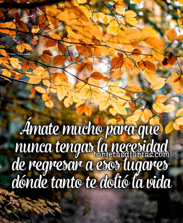 ÁMATE MUCHO PARA QUE NUNCA TENGAS LA NECESIDAD DE REGRESAR A ESOS LUGARES DÓNDE TANTO TE DOLÍO LA VIDA