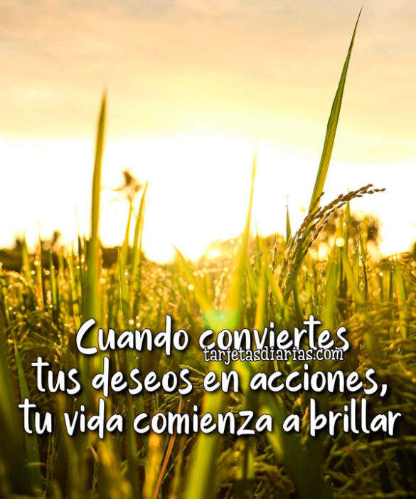 CUANDO CONVIERTES TUS DESEOS EN ACCIONES, TU VIDA COMIENZA A BRILLAR