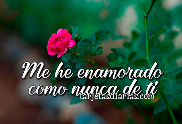 ME HE ENAMORADO COMO NUNCA DE TI