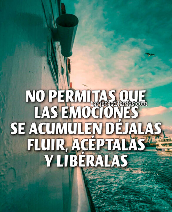 NO PERMITAS QUE LAS EMOCIONES SE ACUMULEN DÉJALAS FLUIR, ACÉPTALAS Y LIBÉRALAS