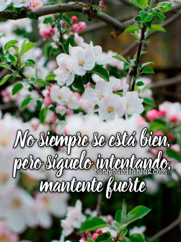 NO SIEMPRE SE ESTÁ BIEN, PERO SÍGUELO INTENTANDO, MANTENTE FUERTE