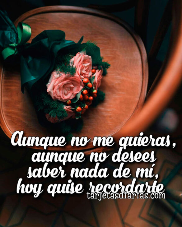 AUNQUE NO ME QUIERAS, AUNQUE NO DESEES SABER NADA DE MÍ, HOY QUISE RECORDARTE
