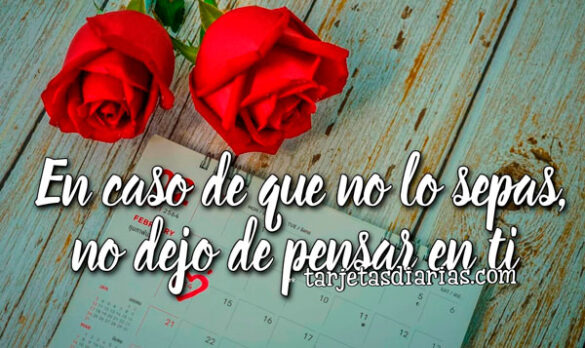 EN CASO DE QUE NO LO SEPAS, NO DEJO DE PENSAR EN TI