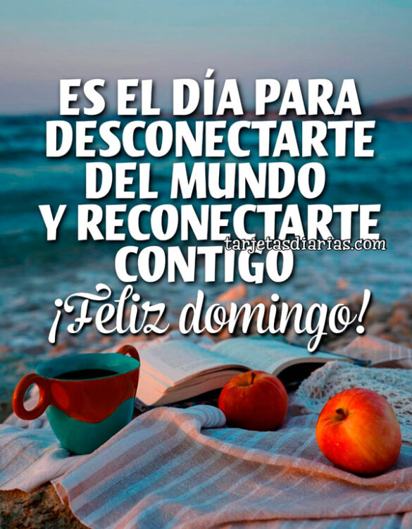 ES EL DÍA PARA DESCONECTARTE DEL MUNDO Y RECONECTARTE CONTIGO. ¡FELIZ DOMINGO!