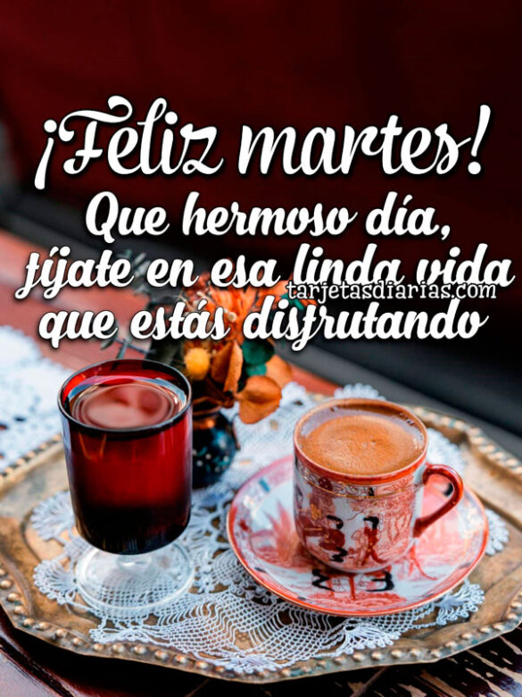 ¡FELIZ MARTES! QUE HERMOSO DÍA, FÍJATE EN ESA LINDA VIDA QUE ESTÁS DISFRUTANDO