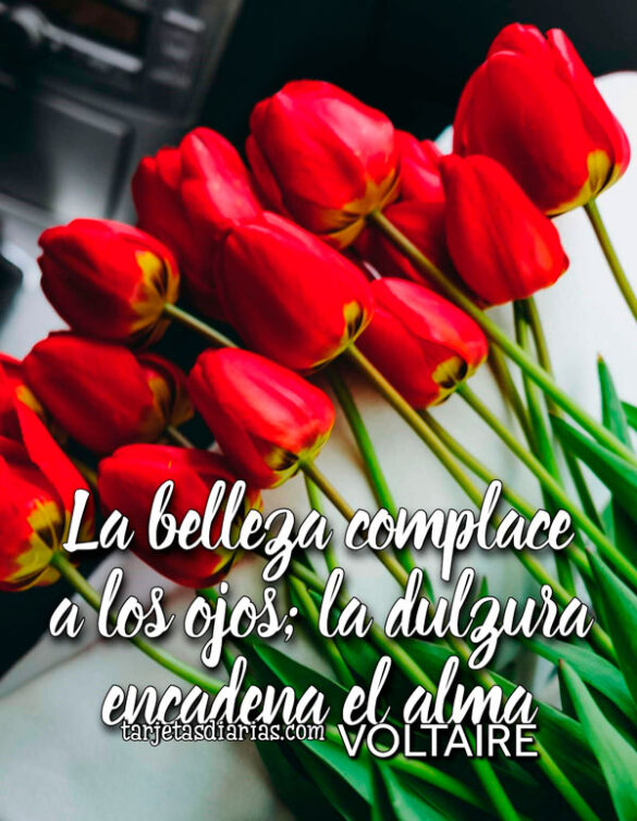 LA BELLEZA COMPLACE A LOS OJOS; LA DULZURA ENCADENA EL ALMA