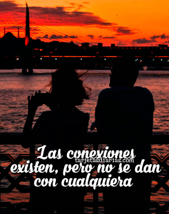 LAS CONEXIONES EXISTEN, PERO NO SE DAN CON CUALQUIERA