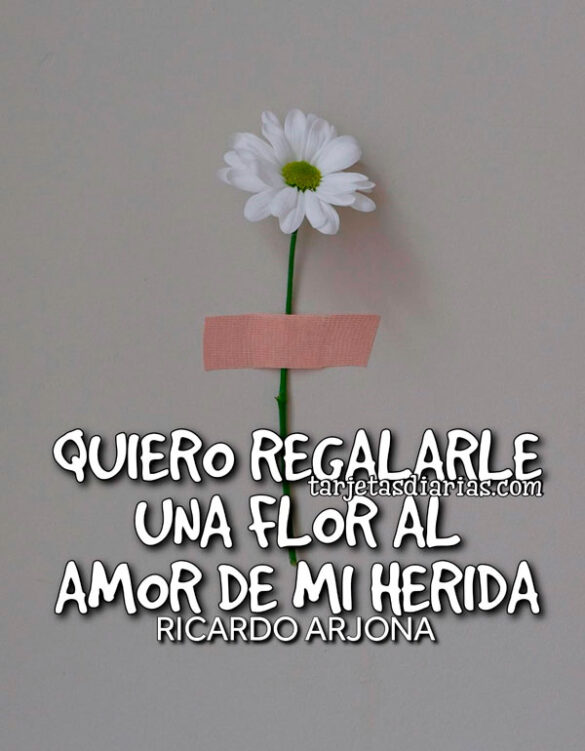 QUIERO REGALARLE UNA FLOR AL AMOR DE MI HERIDA