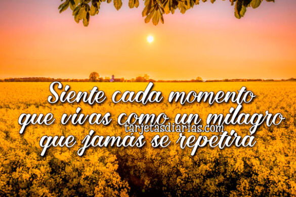 SIENTE CADA MOMENTO QUE VIVAS COMO UN MILAGRO QUE JAMÁS SE REPETIRÁ