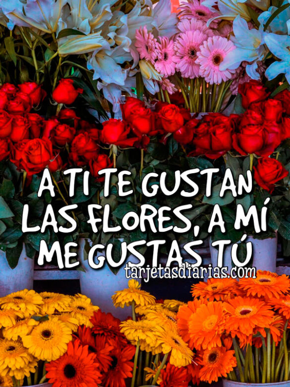 A TI TE GUSTAN LAS FLORES, A MÍ ME GUSTAS TÚ