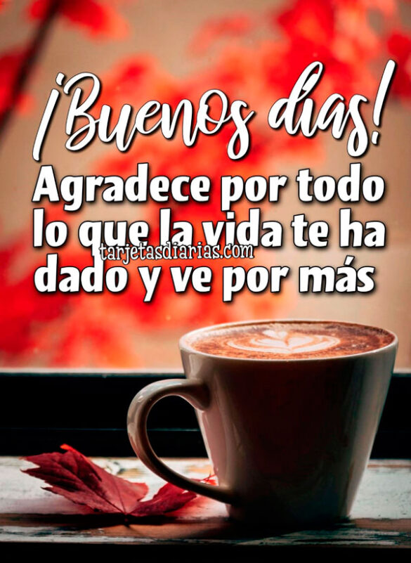 ¡BUENOS DÍAS! AGRADECE POR TODO LO QUE LA VIDA TE HA DADO Y VE POR MÁS
