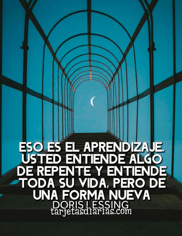 ESO ES EL APRENDIZAJE. USTED ENTIENDE ALGO DE REPENTE Y ENTIENDE TODA SU VIDA, PERO DE UNA NUEVA FORMA