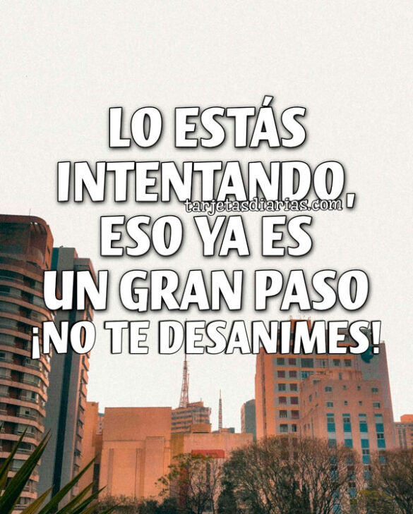 LO ESTÁS INTENTANDO, ESO YA ES UN GRAN PASO. ¡NO TE DESANIMES!