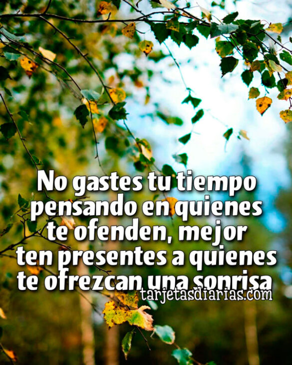 NO GASTES TU TIEMPO EN QUIENES TE OFENDEN, MEJOR TEN PRESENTES A QUIENES TE OFREZCAN UNA SONRISA