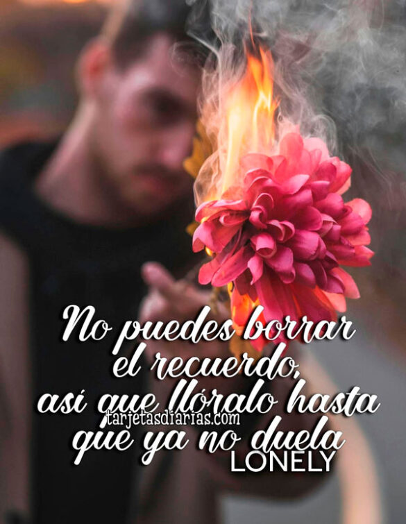 NO PUEDES BORRAR EL RECUERDO, ASÍ QUE LLÓRALO HASTA QUE YA NO DUELA