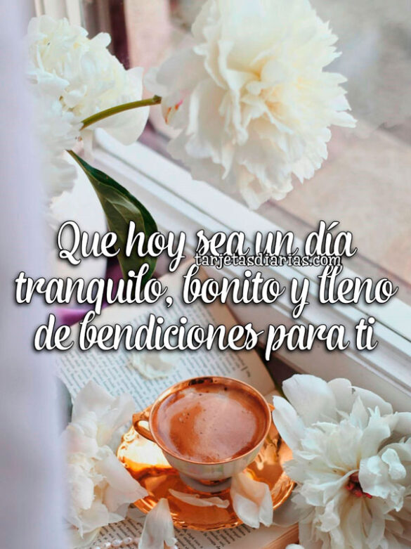QUE HOY SEA UN DÍA TRANQUILO, BONITO Y LLENO DE BENDICIONES PARA TI