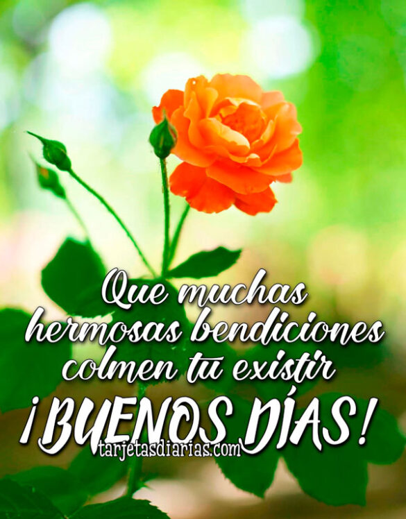 QUE MUCHAS HERMOSAS BENDICIONES COLMEN TU EXISTIR. ¡BUENOS DÍAS!