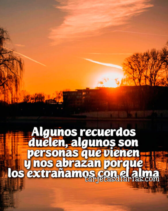 ALGUNOS RECUERDOS DUELEN, ALGUNOS SON PERSONAS QUE VIENEN Y NOS ABRAZAN PORQUE LOS EXTRAÑAMOS CON EL ALMA