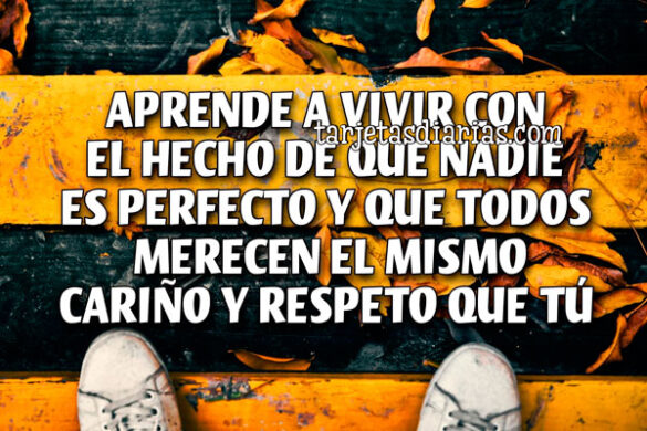 APRENDE A VIVIR CON EL HECHO DE QUE NADIE ES PERFECTO Y QUE TODOS MERECEN EL MISMO CARIÑO Y RESPETO QUE TÚ
