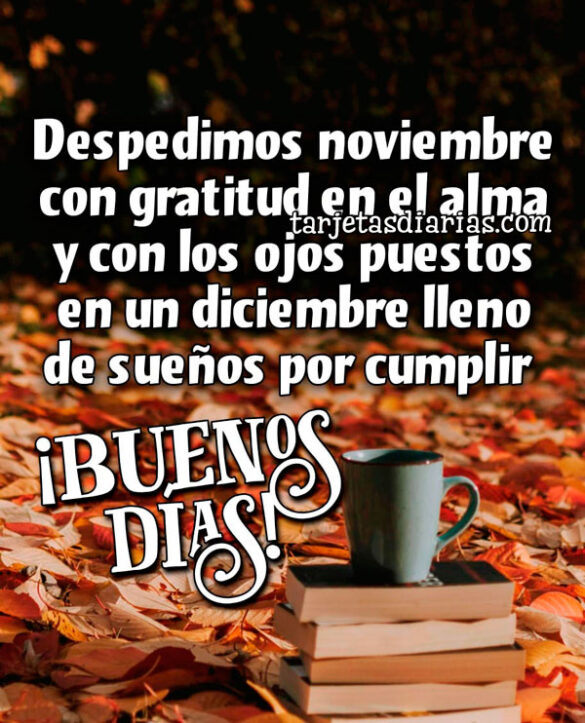 DESPEDIMOS NOVIEMBRE CON GRATITUD EN EL ALMA Y CON LOS OJOS PUESTOS EN UN DICIEMBRE LLENO DE SUEÑOS POR CUMPLIR