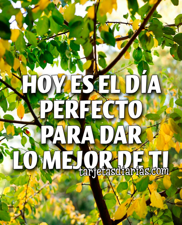 HOY ES EL DÍA PERFECTO PARA DAR LO MEJOR DE TI - Tarjetas Diarias