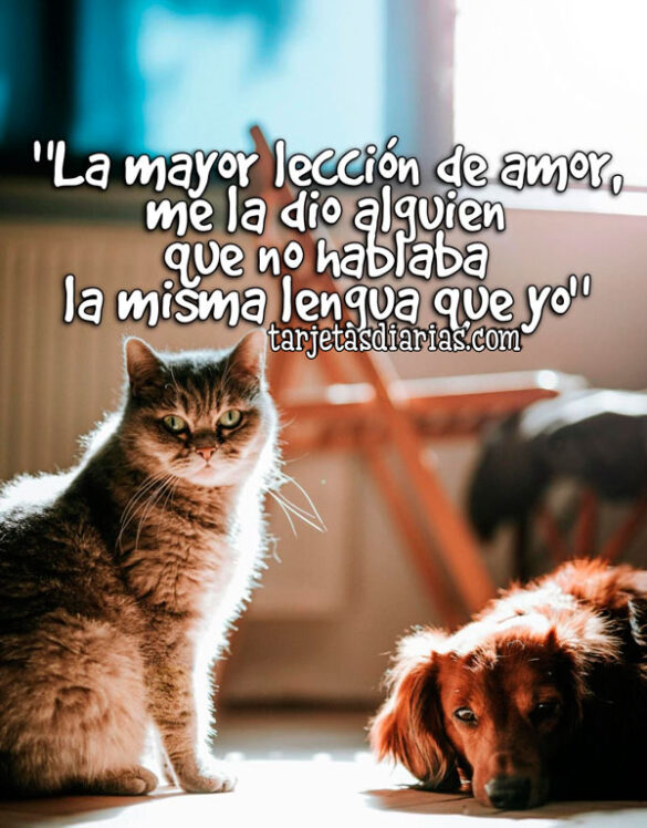 “LA MAYOR LECCIÓN DE AMOR, ME LA DIO ALGUIEN QUE NO HABLABA LA MISMA LENGUA QUE YO”