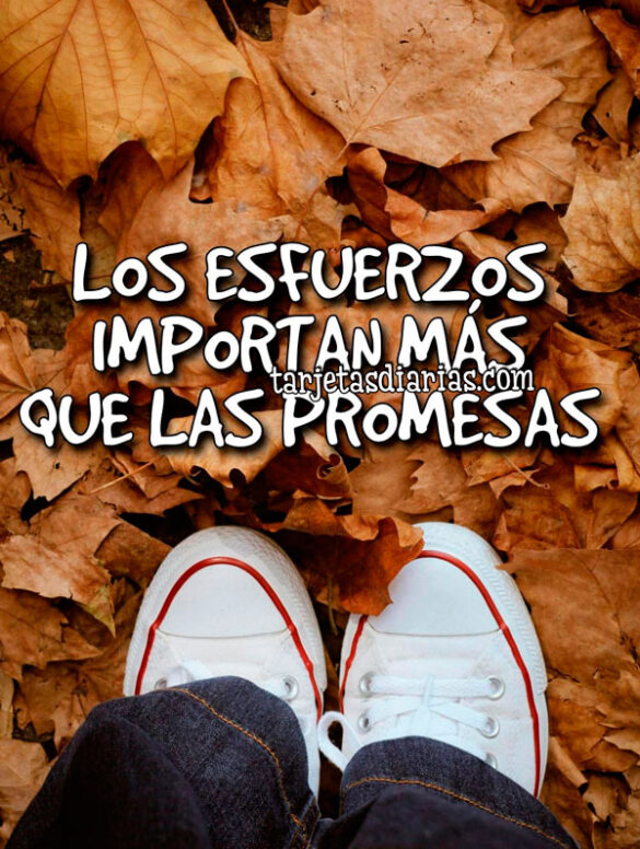 LOS ESFUERZOS IMPORTAN MÁS QUE LAS PROMESAS