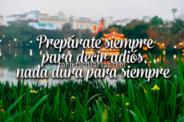 PREPÁRATE SIEMPRE PARA DECIR ADIÓS, NADA DURA PARA SIEMPRE