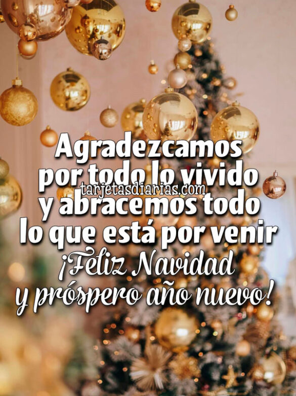 AGRADEZCAMOS POR TODO LO VIVIDO Y ABRACEMOS TODO LO QUE ESTÁ POR VENIR. ¡FELIZ NAVIDAD Y PRÓSPERO AÑO NUEVO!