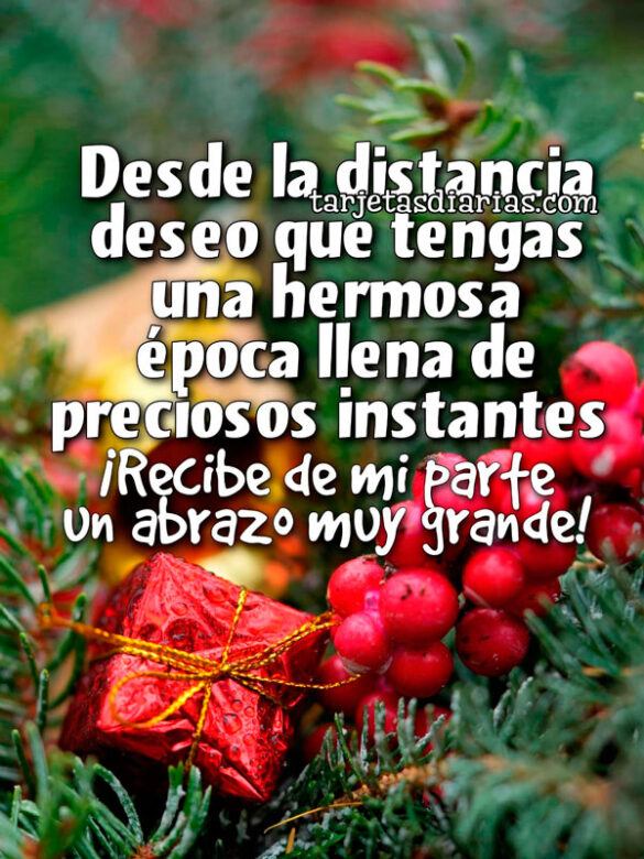 DESDE LA DISTANCIA DESEO QUE TENGAS UNA HERMOSA ÉPOCA LLENA DE PRECIOSOS INSTANTES