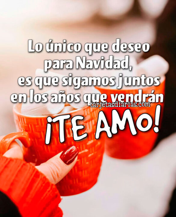 LO ÚNICO QUE DESEO PARA NAVIDAD, ES QUE SIGAMOS JUNTOS EN LOS AÑOS QUE VENDRÁN