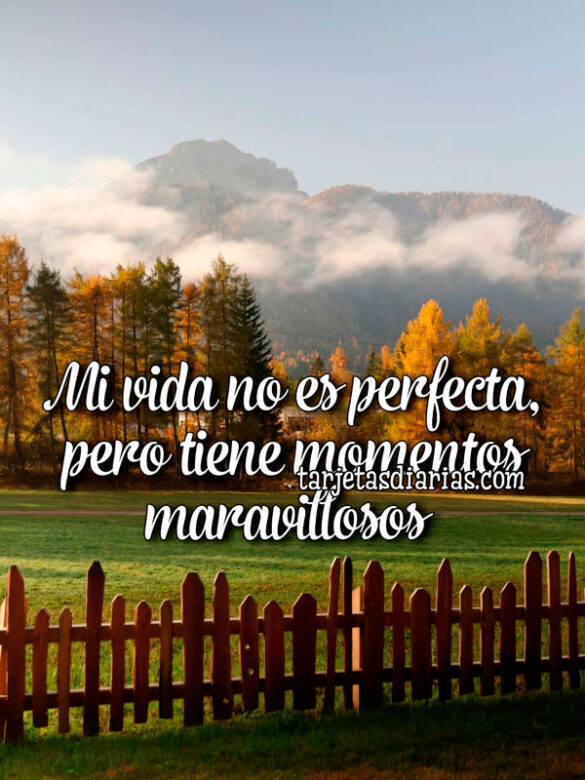 MI VIDA NO ES PERFECTA, PERO TIENE MOMENTOS MARAVILLOSOS