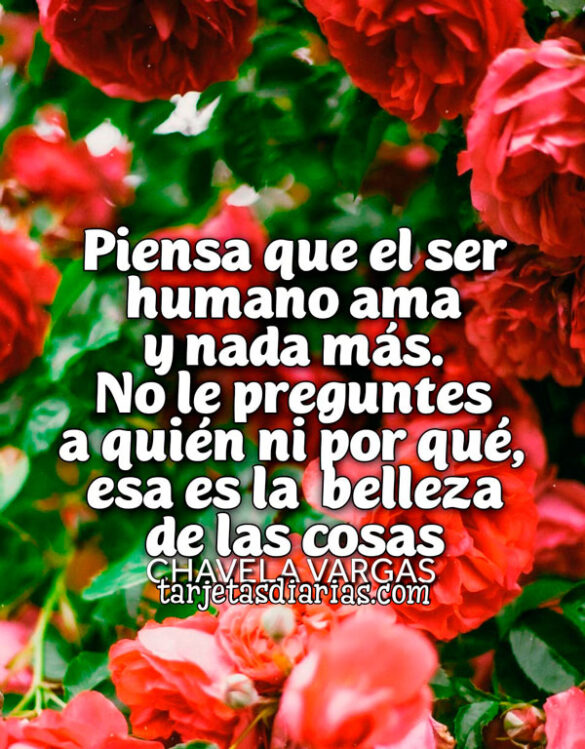 PIENSA QUE EL SER HUMANO AMA Y NADA MÁS. NO LE PREGUNTES A QUIÉN NI POR QUÉ, ESA ES LA BELLEZA DE LAS COSAS