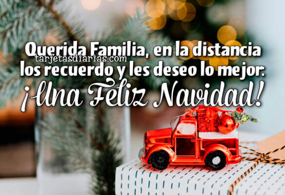 QUERIDA FAMILIA, EN LA DISTANCIA LOS RECUERDO Y LES DESEO LO MEJOR: ¡UNA FELIZ NAVIDAD!