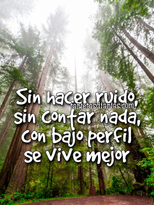 SIN HACER RUIDO, SIN CONTAR NADA, CON BAJO PERFIL SE VIVE MEJOR