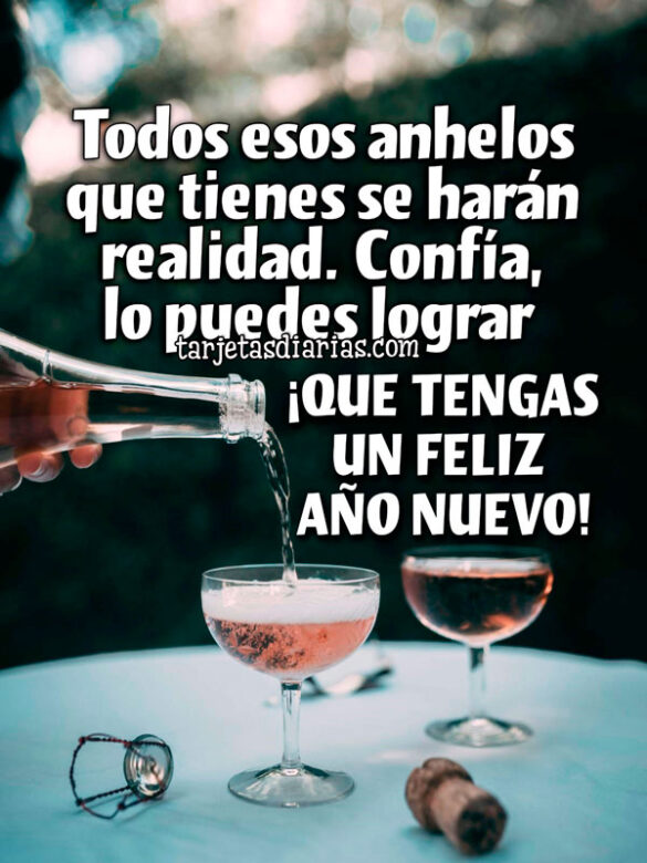 TODOS ESOS ANHELOS QUE TIENES SE HARÁN REALIDAD. CONFÍA, LO PUEDES LOGRAR. ¡QUE TENGAS UN FELIZ AÑO NUEVO!