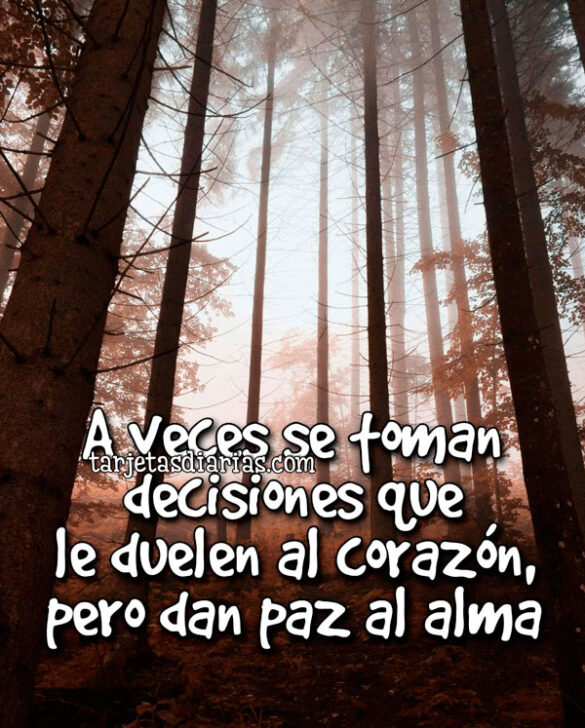 A VECES SE TOMAN DECISIONES QUE DUELEN AL CORAZÓN, PERO DAN PAZ AL ALMA