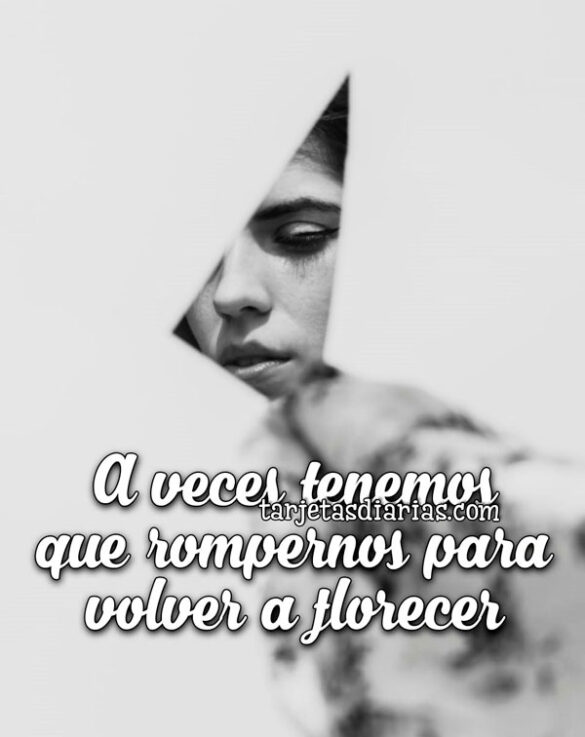 A VECES TENEMOS QUE ROMPERNOS PARA VOLVER A FLORECER