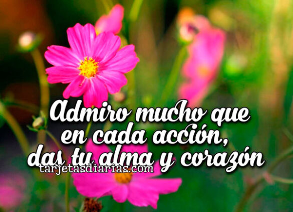 ADMIRO MUCHO QUE EN CADA ACCIÓN, DAS TU ALMA Y CORAZÓN