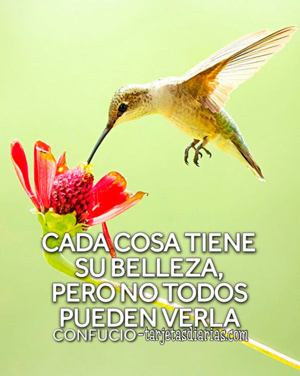 CADA COSA TIENE SU BELLEZA, PERO NO TODOS PUEDEN VERLA