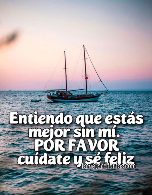 ENTIENDO QUE ESTÁS MEJOR SIN MÍ. POR FAVOR, CUÍDATE Y SÉ FELIZ