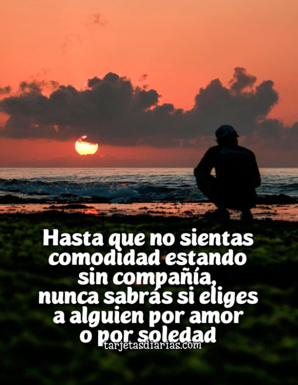 HASTA QUE NO SIENTAS COMODIDAD ESTANDO SIN COMPAÑÍA, NUNCA SABRÁS SI ELIGES A ALGUIEN POR AMOR O POR SOLEDAD