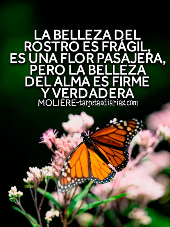LA BELLEZA DEL ROSTRO ES FRÁGIL, ES UNA FLOR PASAJERA, PERO LA BELLEZA DEL ALMA ES FIRME Y VERDADERA