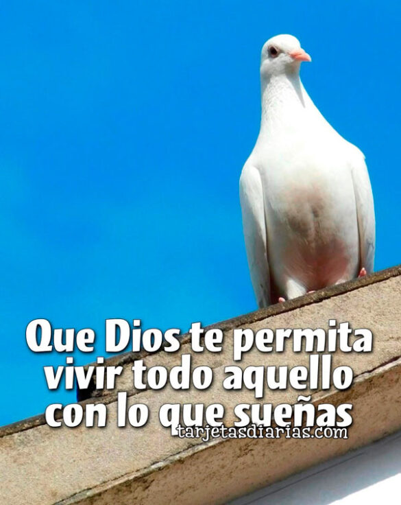 QUE DIOS TE PERMITA VIVIR TODO AQUELLO CON LO QUE SUEÑAS