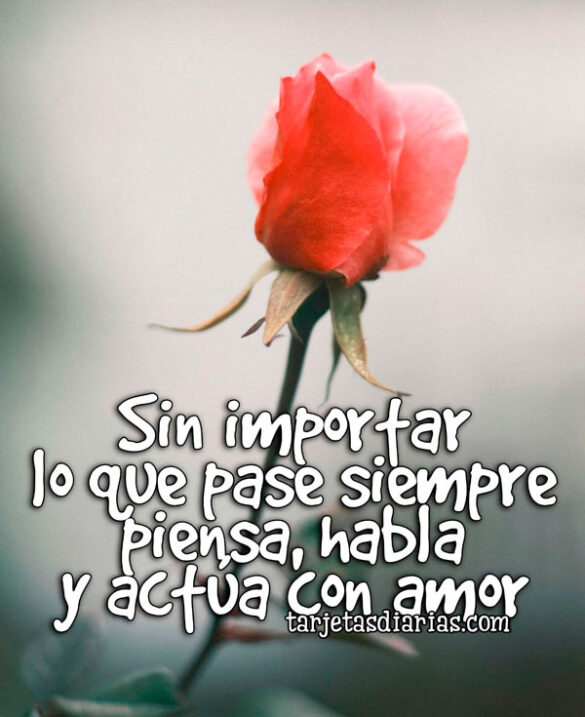 SIN IMPORTAR LO QUE PASE SIEMPRE PIENSA, HABLA Y ACTUA CON AMOR